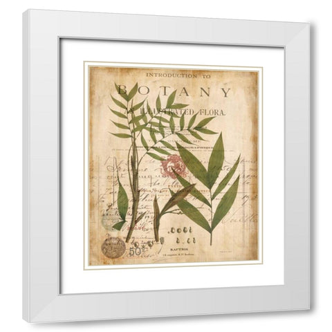Palm Study II White Modern Wood Framed Art Print with Double Matting by Devellier, Deborah