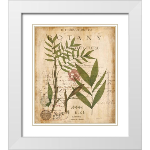 Palm Study II White Modern Wood Framed Art Print with Double Matting by Devellier, Deborah