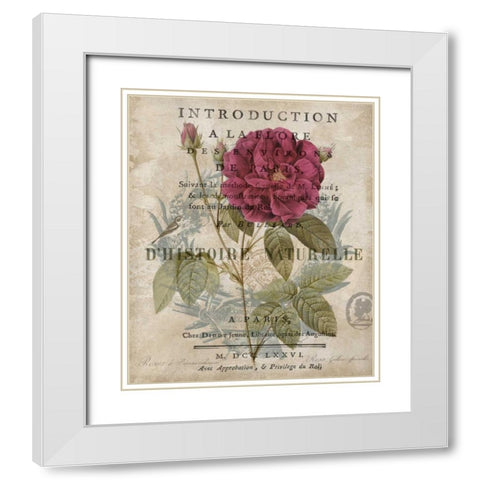 Botanique I White Modern Wood Framed Art Print with Double Matting by Devellier, Deborah