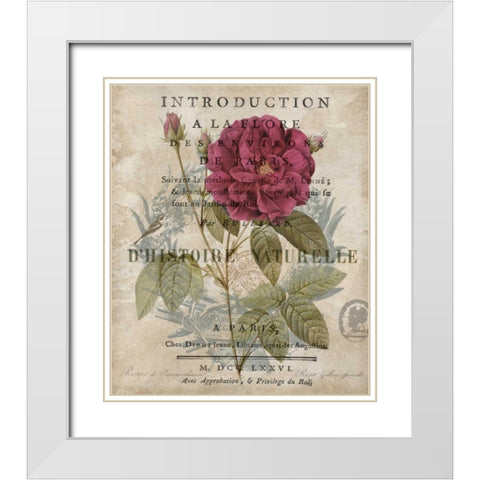 Botanique I White Modern Wood Framed Art Print with Double Matting by Devellier, Deborah