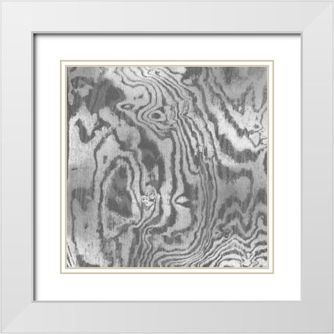 Silver Variations I White Modern Wood Framed Art Print with Double Matting by Carson, Danielle