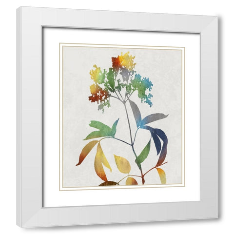 Colorful Nature V White Modern Wood Framed Art Print with Double Matting by Carson, Danielle