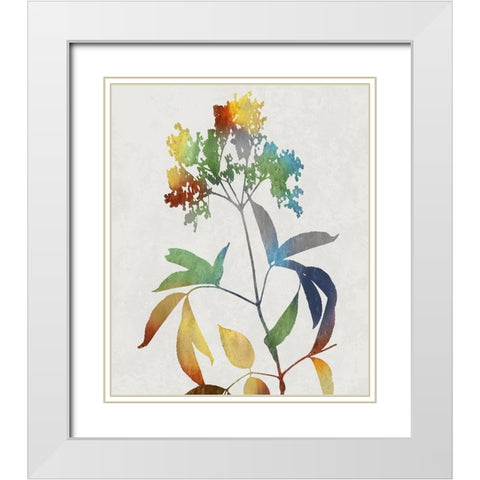 Colorful Nature V White Modern Wood Framed Art Print with Double Matting by Carson, Danielle