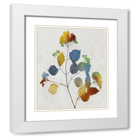 Colorful Nature VI White Modern Wood Framed Art Print with Double Matting by Carson, Danielle