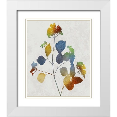 Colorful Nature VI White Modern Wood Framed Art Print with Double Matting by Carson, Danielle