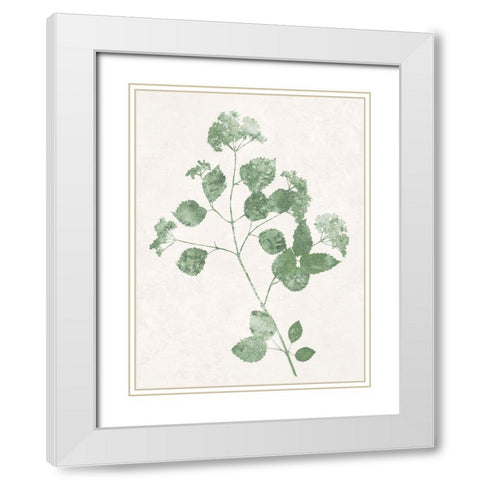 Nature Green VI White Modern Wood Framed Art Print with Double Matting by Carson, Danielle