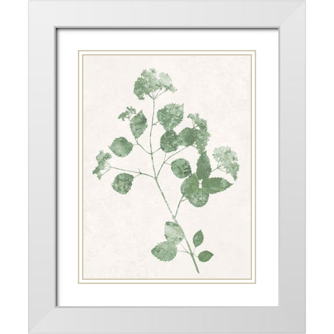 Nature Green VI White Modern Wood Framed Art Print with Double Matting by Carson, Danielle