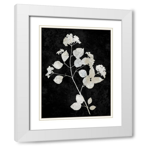 Nature White on Black VI White Modern Wood Framed Art Print with Double Matting by Carson, Danielle