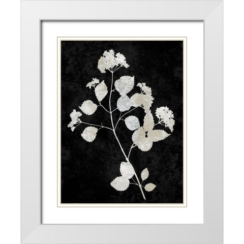 Nature White on Black VI White Modern Wood Framed Art Print with Double Matting by Carson, Danielle