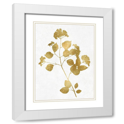 Nature Gold on White VI White Modern Wood Framed Art Print with Double Matting by Carson, Danielle