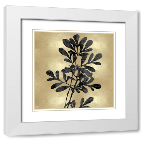 Nature Black on Gold II White Modern Wood Framed Art Print with Double Matting by Carson, Danielle
