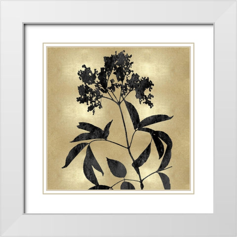 Nature Black on Gold V White Modern Wood Framed Art Print with Double Matting by Carson, Danielle
