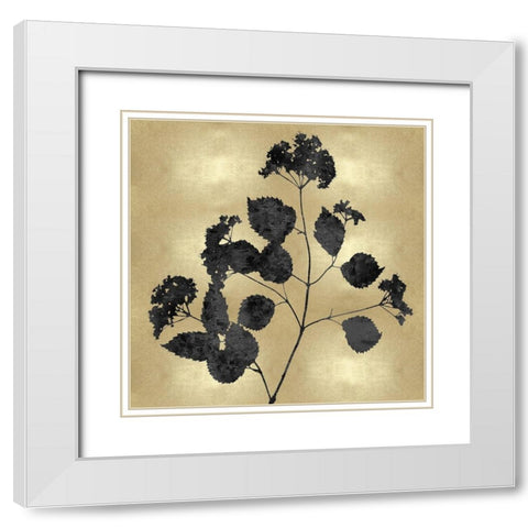 Nature Black on Gold VI White Modern Wood Framed Art Print with Double Matting by Carson, Danielle