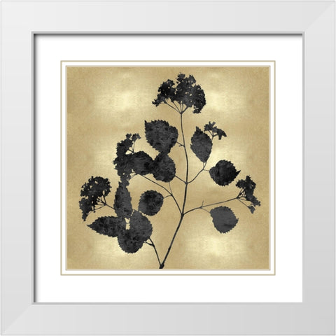 Nature Black on Gold VI White Modern Wood Framed Art Print with Double Matting by Carson, Danielle
