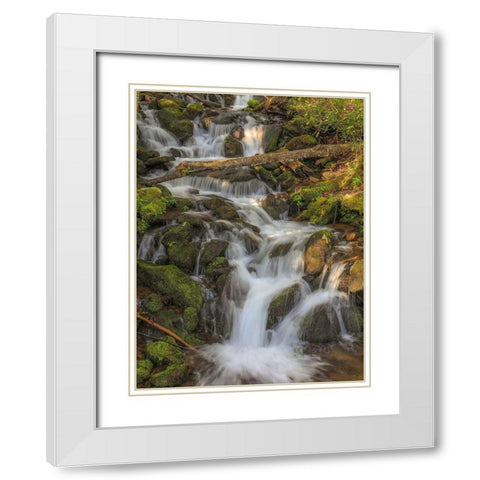 Waterfall White Modern Wood Framed Art Print with Double Matting by Sproul, Dan