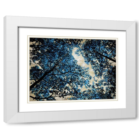 Blue Forest II White Modern Wood Framed Art Print with Double Matting by Scott, Derek