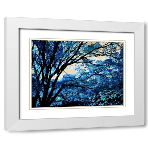 Blue Forest III White Modern Wood Framed Art Print with Double Matting by Scott, Derek