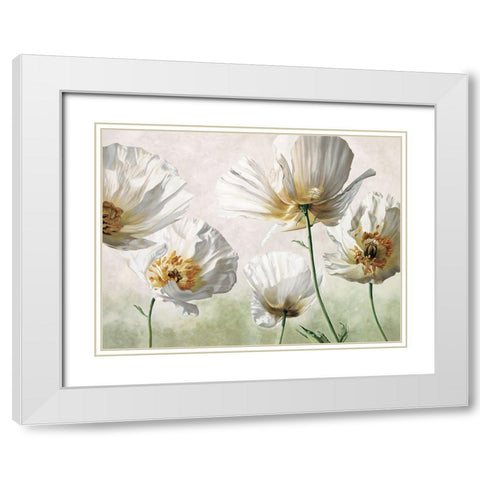 Raggi di sole White Modern Wood Framed Art Print with Double Matting by Barberini, Eva