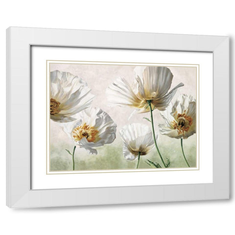 Raggi di sole White Modern Wood Framed Art Print with Double Matting by Barberini, Eva