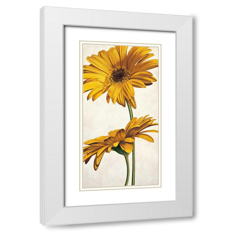 Armonie in giallo White Modern Wood Framed Art Print with Double Matting by Barberini, Eva