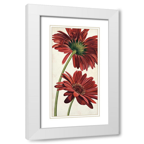 Armonie in rosso White Modern Wood Framed Art Print with Double Matting by Barberini, Eva