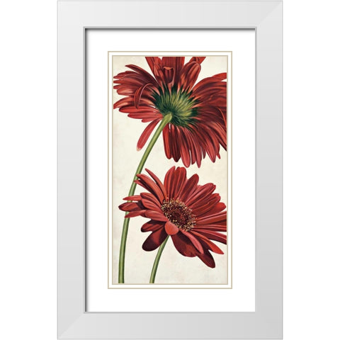 Armonie in rosso White Modern Wood Framed Art Print with Double Matting by Barberini, Eva