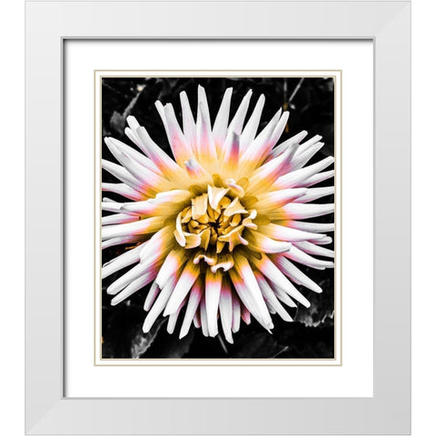 Color Pop Yellow White Modern Wood Framed Art Print with Double Matting by Bannon, Heidi