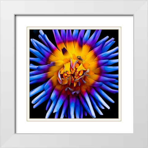 Color Pop Deep White Modern Wood Framed Art Print with Double Matting by Bannon, Heidi