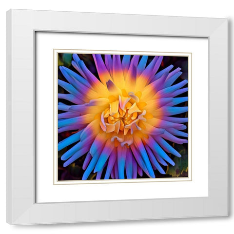 Pastel Pop White Modern Wood Framed Art Print with Double Matting by Bannon, Heidi
