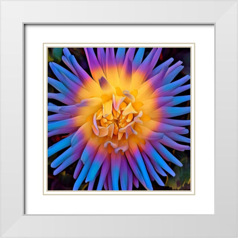 Pastel Pop White Modern Wood Framed Art Print with Double Matting by Bannon, Heidi