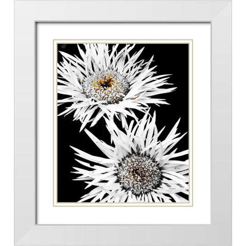 Black and White Awakening White Modern Wood Framed Art Print with Double Matting by Bannon, Heidi