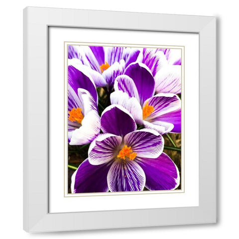 Springtime Dance White Modern Wood Framed Art Print with Double Matting by Bannon, Heidi