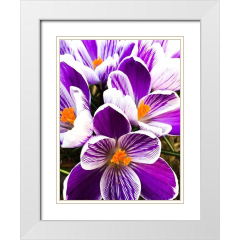 Springtime Dance White Modern Wood Framed Art Print with Double Matting by Bannon, Heidi