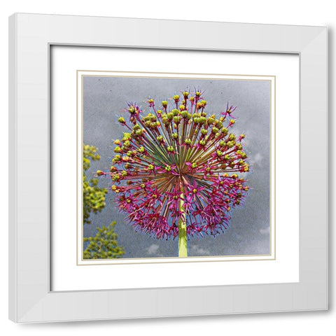 Sphere White Modern Wood Framed Art Print with Double Matting by Bannon, Heidi