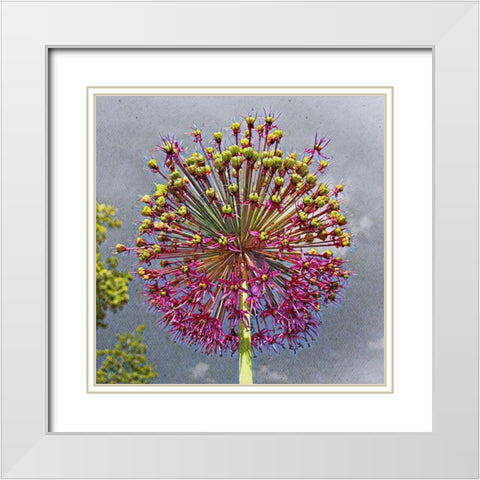 Sphere White Modern Wood Framed Art Print with Double Matting by Bannon, Heidi