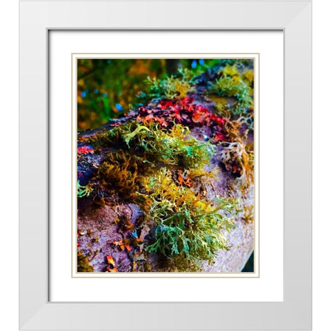 Must Love Moss White Modern Wood Framed Art Print with Double Matting by Bannon, Heidi