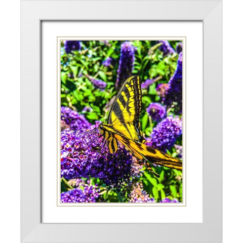 Coming in for a Landing I White Modern Wood Framed Art Print with Double Matting by Bannon, Heidi