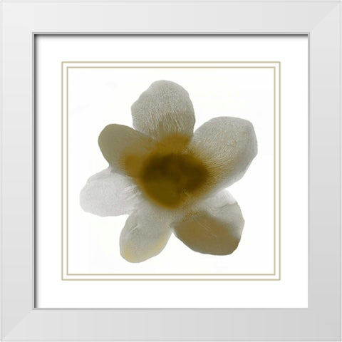 Bloom Taupe I White Modern Wood Framed Art Print with Double Matting by Carlson, Hannah