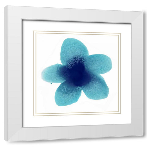 Blue Bloom II White Modern Wood Framed Art Print with Double Matting by Carlson, Hannah