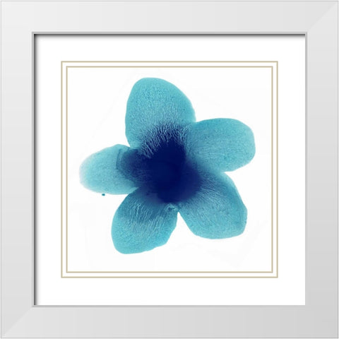 Blue Bloom II White Modern Wood Framed Art Print with Double Matting by Carlson, Hannah