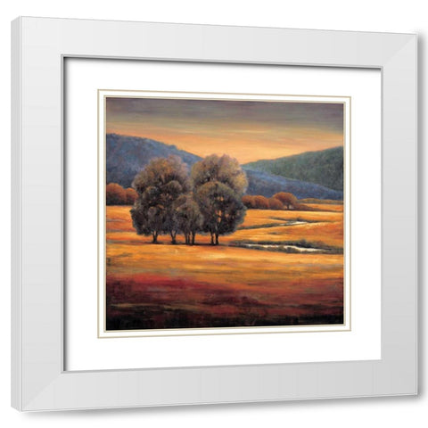 In All Its Glory I White Modern Wood Framed Art Print with Double Matting by Leonard, Jeffrey