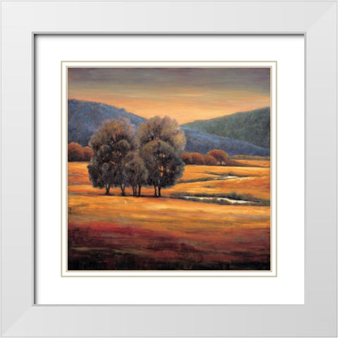 In All Its Glory I White Modern Wood Framed Art Print with Double Matting by Leonard, Jeffrey