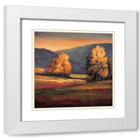 In All Its Glory II White Modern Wood Framed Art Print with Double Matting by Leonard, Jeffrey