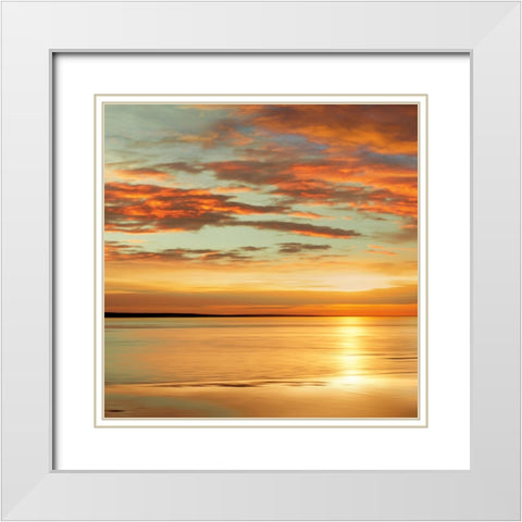 Sunlit I White Modern Wood Framed Art Print with Double Matting by Seba, John