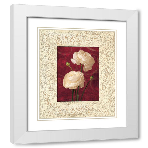 Ranunculus White Modern Wood Framed Art Print with Double Matting by Seba, John