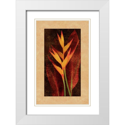 Heliconia White Modern Wood Framed Art Print with Double Matting by Seba, John