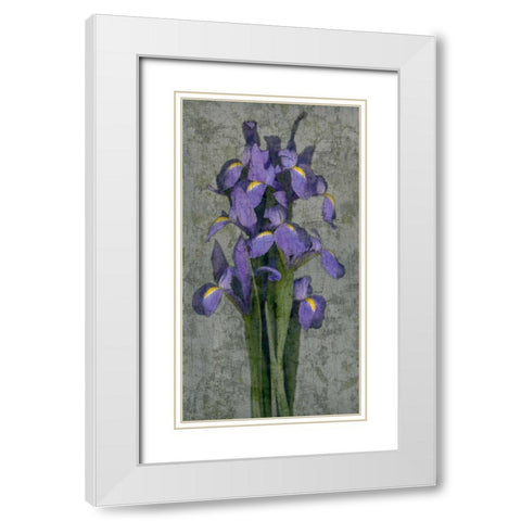 Purple Iris White Modern Wood Framed Art Print with Double Matting by Seba, John