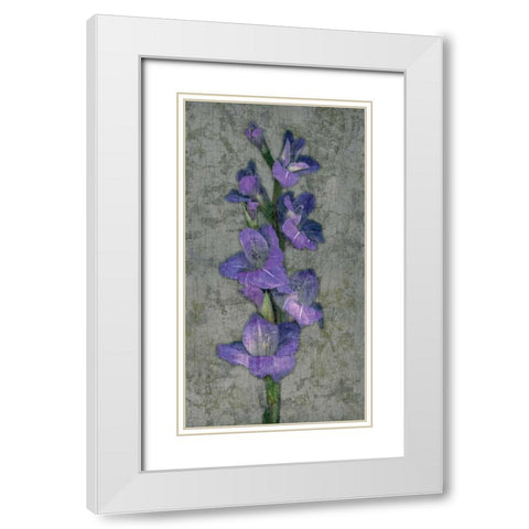 Purple Gladiola White Modern Wood Framed Art Print with Double Matting by Seba, John