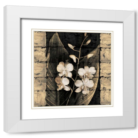 Orchids in Bloom I White Modern Wood Framed Art Print with Double Matting by Seba, John