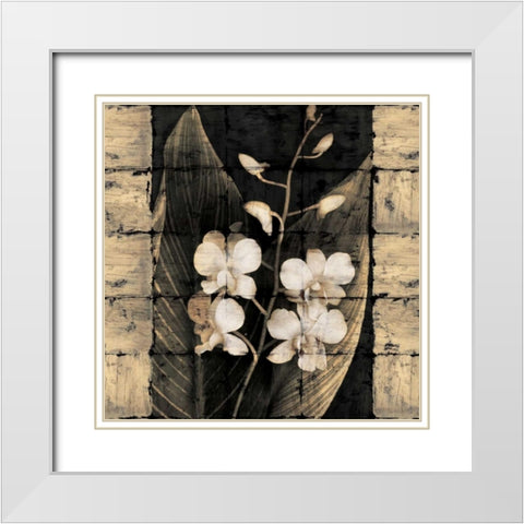 Orchids in Bloom I White Modern Wood Framed Art Print with Double Matting by Seba, John